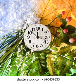 Allergi kig ind pige Four Seasons Clock Images, Stock Photos & Vectors | Shutterstock