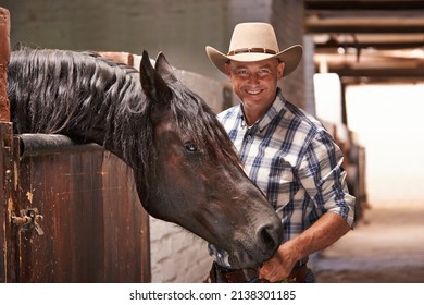 Its Time To Go For A Ride. A Caring Ranch Hand Attending To A Horse In The Stable.