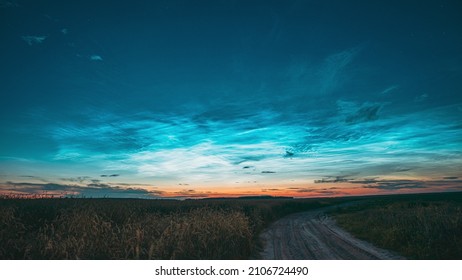 Time Lapse 4K Night Starry Sky With Glowing Stars Above Countryside Landscape With Country Road And Wheat Fields. Noctilucent Clouds Above Rural Wheat Field In Summer. Summertime. TimeLapse Time-Lapse