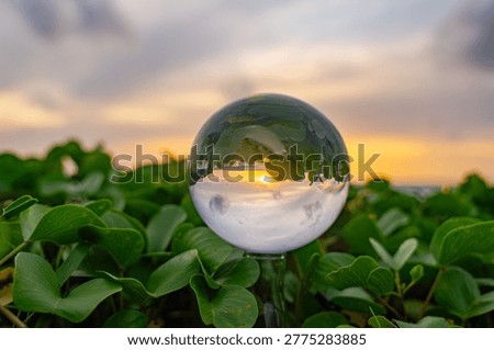 Time lapse Marbles placed on sea purslane. As the sun sets, the green shadows of sea purslane and the golden sun scene are in a clear marble.The beauty of a unique beach view in a marble.