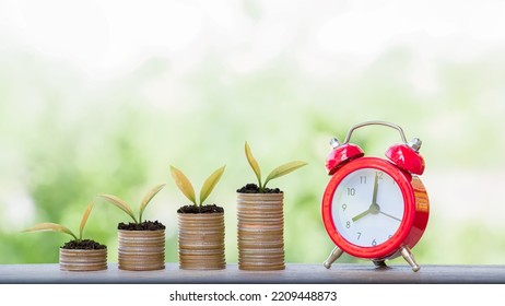 Time Is Money Concept. Red Alarm With Plants Is Growing Up On Stack Of Coins. Save Money For Prepare In The Future.