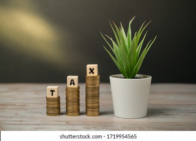 Time to pay TAX concept. TAX alphabet with stack of coin and and home plant in a pot over sun flare in dark background. Business and financial concept idea.