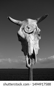 Time symbol old clock in cow skull cranium on sky background, black and white
