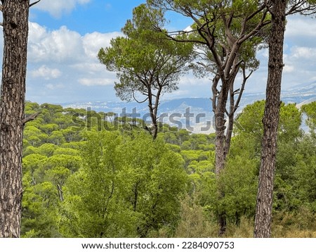 Timelapse of mountain top and nature view - Aerial view of Jezzine town in Lebanon, on an altitude of 1000m, surrounded by mountain peaks and pine forests - South Lebanon