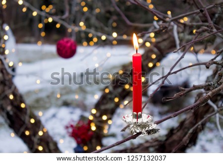 Similar – Image, Stock Photo Advent in the forest…