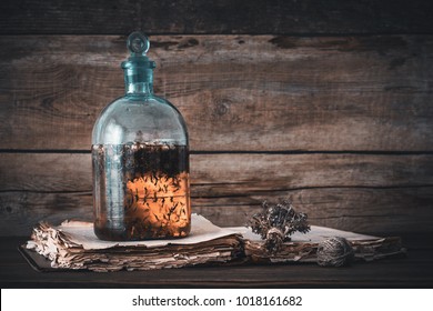 Tincture or potion bottle, old book and bunch of dry healthy herbs. Herbal medicine. Retro styled. - Shutterstock ID 1018161682