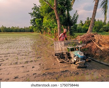 Tindivanam, Tamil Nadu / India - June 1 2020: A Farmer Using A Rice Transplanter To Plant Seedlings Into A Rice Field. Mechanical Transplanting Of Rice, Rice Transplanting Machine,paddy Transplanting,