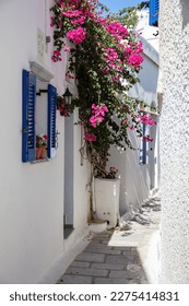 Tinos island Greece. Cycladic architecture in white and blue at Kardiani village. Paved alley pot with pink bougainvillea. Vertical - Shutterstock ID 2275414831