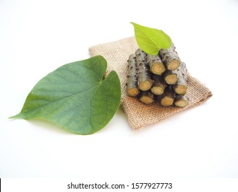 Tinospora Cordifolia Or Heart Leaved Moonseed With Leaf And Bag Use As Ingredient In Hair Dandruff Shampoo Product To Soothe Itchy, Flaky And Irritated Scalp And Dry And Is A Medicine Herb