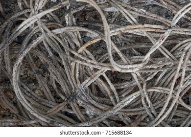 Tin-plated Copper Wire