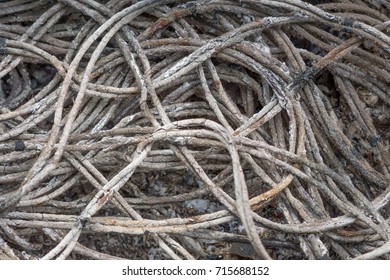 Tin-plated Copper Wire