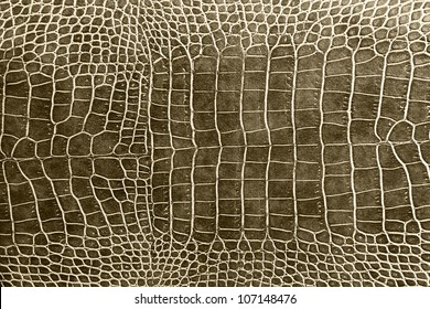 tint brown crocodile skin texture as a wallpaper