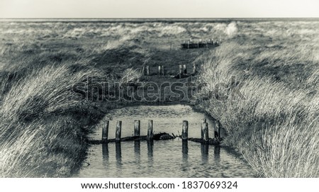 Similar – parted Meadow Field Coast