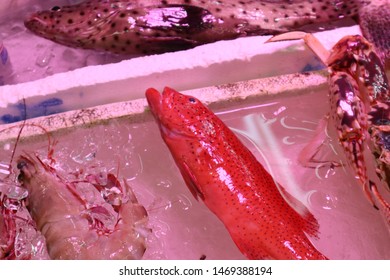 Tinted Red Fish In Ice Water In Styrofoam Cooler For Sale In Hong Kong Street Market