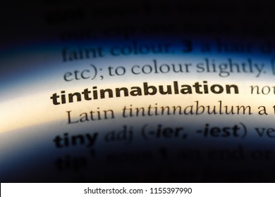 Tintinnabulation Word Dictionary Concept 260nw 1155397990 