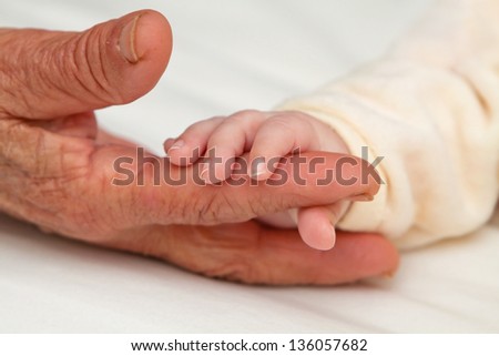 Tiny baby hand holding aged hand of Great Grandma