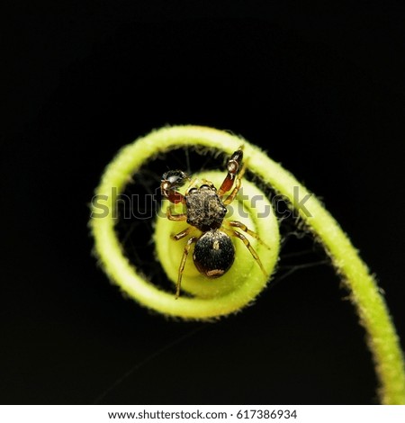 Begegnung Natur Frühling