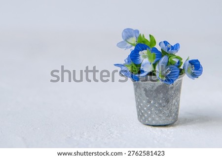 Tiny blue l flowers (Veronica) in a vintage silver thimble, creative micro floristry and sewing hobby concept, white background