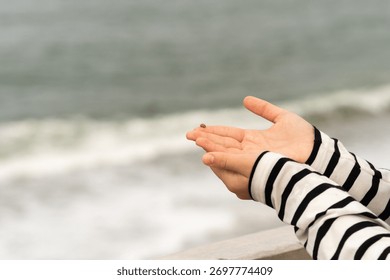 A tiny brown ladybug sits on a child’s palm as ocean waves blur in the background, contrasting fragile insect life against the vast expanse of the coastal environment.