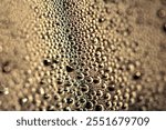 Tiny Bubbles on a Colour Background Condensation Gold Steam Water