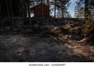 Tiny cabin in the woods early spring Norway
