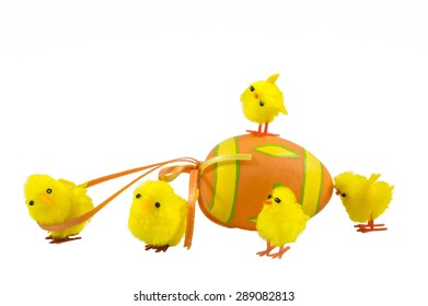 Tiny Chicks