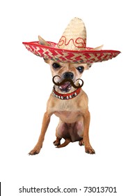 A Tiny Chihuahua With A Sombrero Hat On
