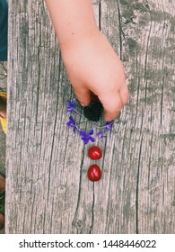 Tiny child's hand making summer composition with cherry, purple wildflower  and mulberry ion the wooden background 