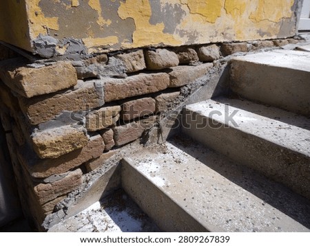 Tiny common lizard moving on a rough cement joint between old bricks and concrete stairs.