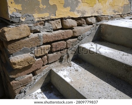 Tiny common lizard moving on a rough cement joint between old bricks and concrete stairs.