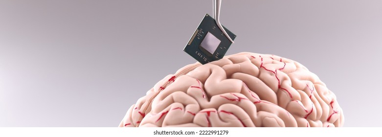 Tiny computer chip detail in human brain