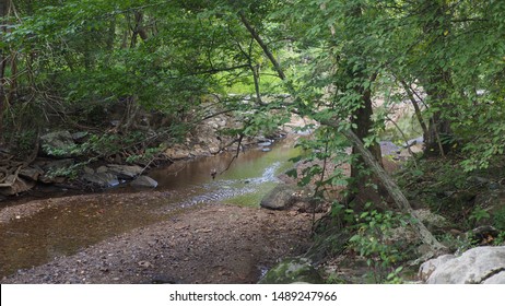 Tiny creek/ stream at Riverbend Park trail to Great Falls Park, Fairfax County, Virginia