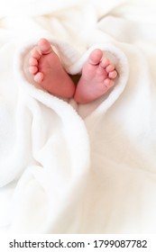 tiny, cute, bare feet of a little caucasian newborn baby girl/boy wrapped in a heart shaped white soft and cosy blanket, symbolizing love   - Shutterstock ID 1799087782