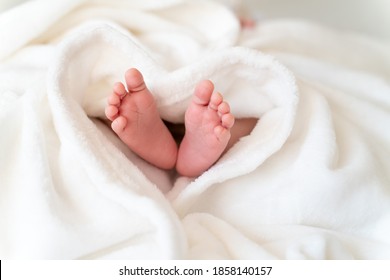 tiny, cute, bare feet of a little caucasian newborn baby girl/boy wrapped in a heart shaped white soft and cosy blanket, symbolizing love   - Shutterstock ID 1858140157
