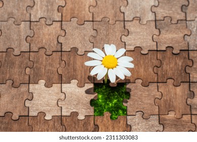 Tiny daisy blossoms gracefully within the vacant space of a wooden puzzle, representing the resilience and beauty that can emerge from unexpected places. The concept of completion and wholeness.