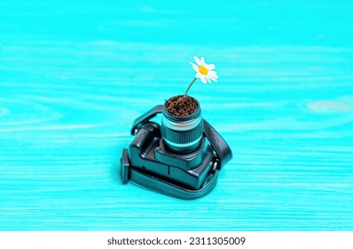 Tiny daisy growing from a miniature camera lens isolated on a blue background. Creative photography related concept.