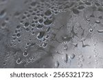 Tiny droplets reflect light on a cool metal surface, capturing the beauty of a serene morning after rain.
