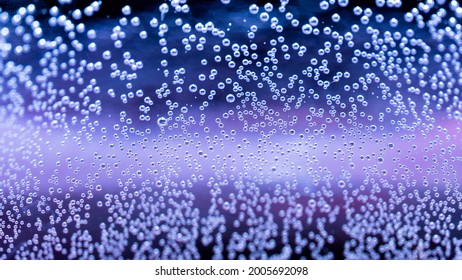 Tiny floating air bubbles abstract under water purple and blue background. Macro air bubbles underwater wallpaper
