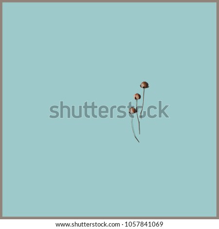 Tiny flowers on blue turquoise background. Picture for interior design. Minimalism and minimalist art. Concept of minimalism. Light and pastel colors. Beauty in simplicity. Hipster, vintage style.