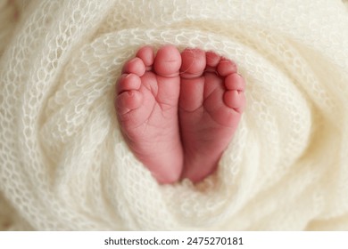 The tiny foot of a newborn baby. Soft feet of a new born in a wool white blanket. Close up of toes, heels and feet of a newborn. Macro photography. - Powered by Shutterstock