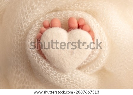 The tiny foot of a newborn baby. Soft feet of a new born in a white wool blanket. Close up of toes, heels and feet of a newborn. Knitted white heart in the legs of a baby. Studio macro photography.