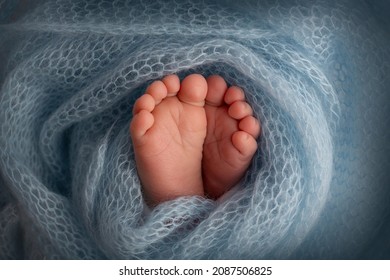 The tiny foot of a newborn. Soft feet of a newborn in a blue woolen blanket. Close up of toes, heels and feet of a newborn baby. Studio Macro photography. Woman's happiness. Photography, concept. - Powered by Shutterstock