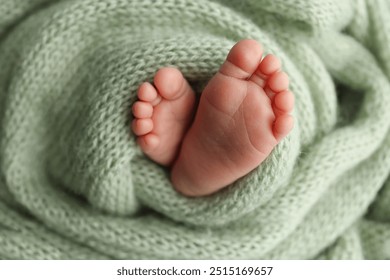 The tiny foot of a newborn. Soft feet of a newborn in a olive green woolen blanket. Close up of toes, heels and feet of a newborn baby. Studio Macro photography. Woman's happiness. - Powered by Shutterstock