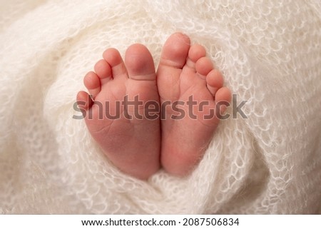 The tiny foot of a newborn. Soft feet of a newborn in a white woolen blanket. Close up of toes, heels and feet of a newborn baby. Studio Macro photography. Woman's happiness. Photography, concept.