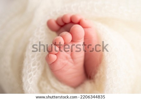The tiny foot of a newborn. Soft feet of a newborn in a white woolen blanket. Close up of toes, heels and feet of a newborn baby. Studio Macro photography. Woman's happiness.
