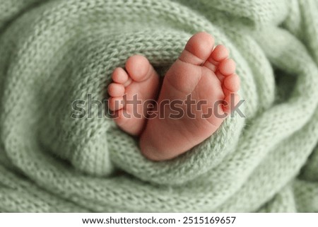 The tiny foot of a newborn. Soft feet of a newborn in a olive green woolen blanket. Close up of toes, heels and feet of a newborn baby. Studio Macro photography. Woman's happiness.