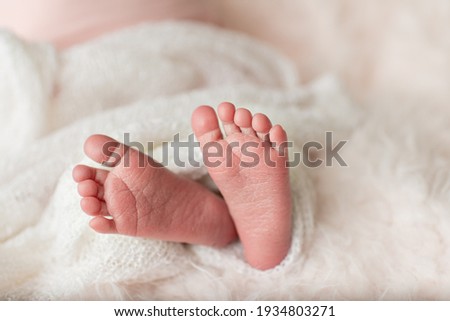Tiny, Fresh Newborn Feet and Toes