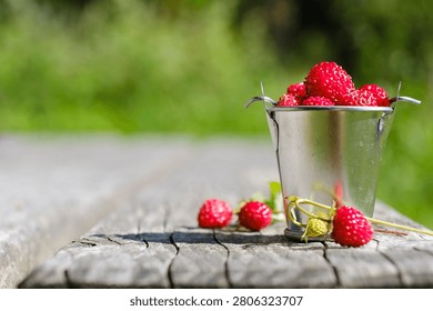 Tiny galvanized bucket filled with freshly picked wild strawberries standing on a rustic wooden table outdoors during summer.