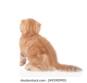 Tiny ginger tabby kitten sits in back view and looks up on empty space. isolated on white background - Powered by Shutterstock