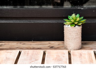 Tiny green tree in roped pot on wood table for decoration